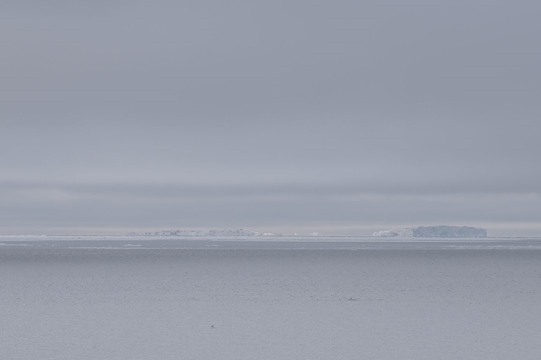 Alla ricerca delle balene - Ilulissat
