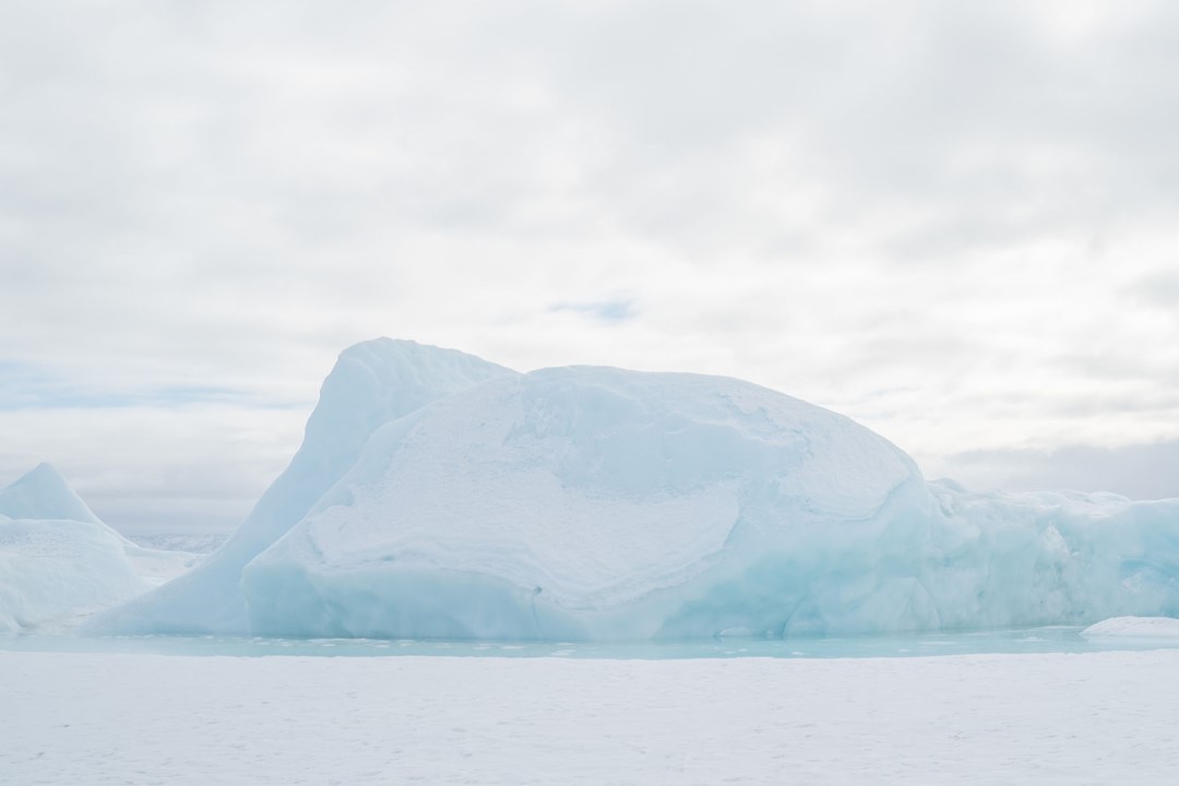 Alla ricerca delle balene - Ilulissat